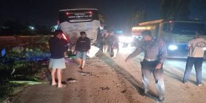 Tragis! Sopir Damri di Pontianak Tewas Saat Perbaiki Bus Mogok