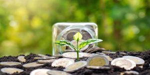 3 Jenis Investasi yang Sangat Menguntungkan di Tahun 2026