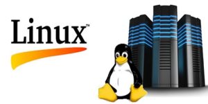 Solusi Praktis Kelola Server Linux: Instalasi, Maintenance, hingga Migrasi Tanpa Ribet